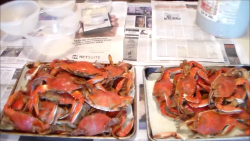 cleaning blue crab